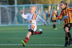 HBC Voetbal • <a style="font-size:0.8em;" href="http://www.flickr.com/photos/151401055@N04/44442460055/" target="_blank">View on Flickr</a>