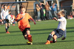 HBC Voetbal • <a style="font-size:0.8em;" href="http://www.flickr.com/photos/151401055@N04/44442803135/" target="_blank">View on Flickr</a>