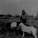 A man and his pack dogs, Hay River Country, Alberta / Homme avec ses chiens transportant des paquets sur leurs dos, Hay River (Alberta)