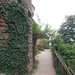 Medieval garden @ Château du Haut-Kœnigsbourg