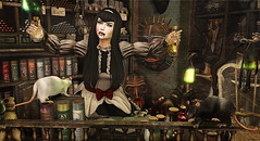 Madame Lecora has all your voodoo needs.....