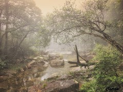 莽山国家森林公园、湖南 Mangshan national park