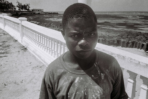 Paleta joven en Ihla Mozambique