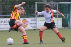 HBC Voetbal • <a style="font-size:0.8em;" href="http://www.flickr.com/photos/151401055@N04/31616164538/" target="_blank">View on Flickr</a>