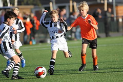 HBC Voetbal • <a style="font-size:0.8em;" href="http://www.flickr.com/photos/151401055@N04/30113085257/" target="_blank">View on Flickr</a>