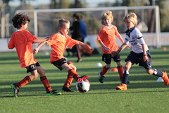 HBC Voetbal • <a style="font-size:0.8em;" href="http://www.flickr.com/photos/151401055@N04/30416956797/" target="_blank">View on Flickr</a>