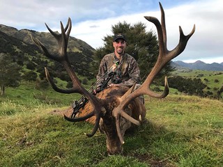 New Zealand Free Range Hunting - Marlborough 42
