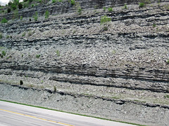 Limestone & shale (Bellevue Limestone over Fairview Formation over Kope Formation, Upper Ordovician; Maysville West roadcut, Kentucky, USA) 2