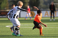 HBC Voetbal • <a style="font-size:0.8em;" href="http://www.flickr.com/photos/151401055@N04/43237738160/" target="_blank">View on Flickr</a>