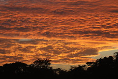 Red sky before sunrise in the Amazon