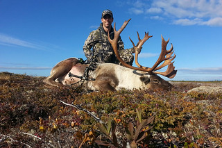 Newfoundland Caribou Hunt, Moose, Bear Hunting 21