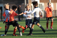 HBC Voetbal • <a style="font-size:0.8em;" href="http://www.flickr.com/photos/151401055@N04/44442802745/" target="_blank">View on Flickr</a>