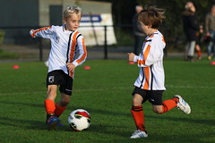 HBC Voetbal • <a style="font-size:0.8em;" href="http://www.flickr.com/photos/151401055@N04/31300355588/" target="_blank">View on Flickr</a>