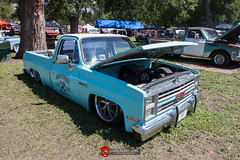 C10s in the Park-81