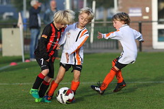 HBC Voetbal • <a style="font-size:0.8em;" href="http://www.flickr.com/photos/151401055@N04/44262676295/" target="_blank">View on Flickr</a>