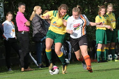 HBC Voetbal • <a style="font-size:0.8em;" href="http://www.flickr.com/photos/151401055@N04/44888934414/" target="_blank">View on Flickr</a>