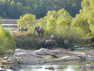 Mozambique Hunting Safari 28