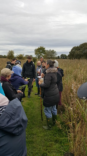 Workshop on use of the Wetlands Guide, Cabragh Wetlands, September 2018