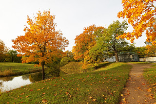 Autumn path.