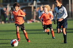 HBC Voetbal • <a style="font-size:0.8em;" href="http://www.flickr.com/photos/151401055@N04/44442802385/" target="_blank">View on Flickr</a>